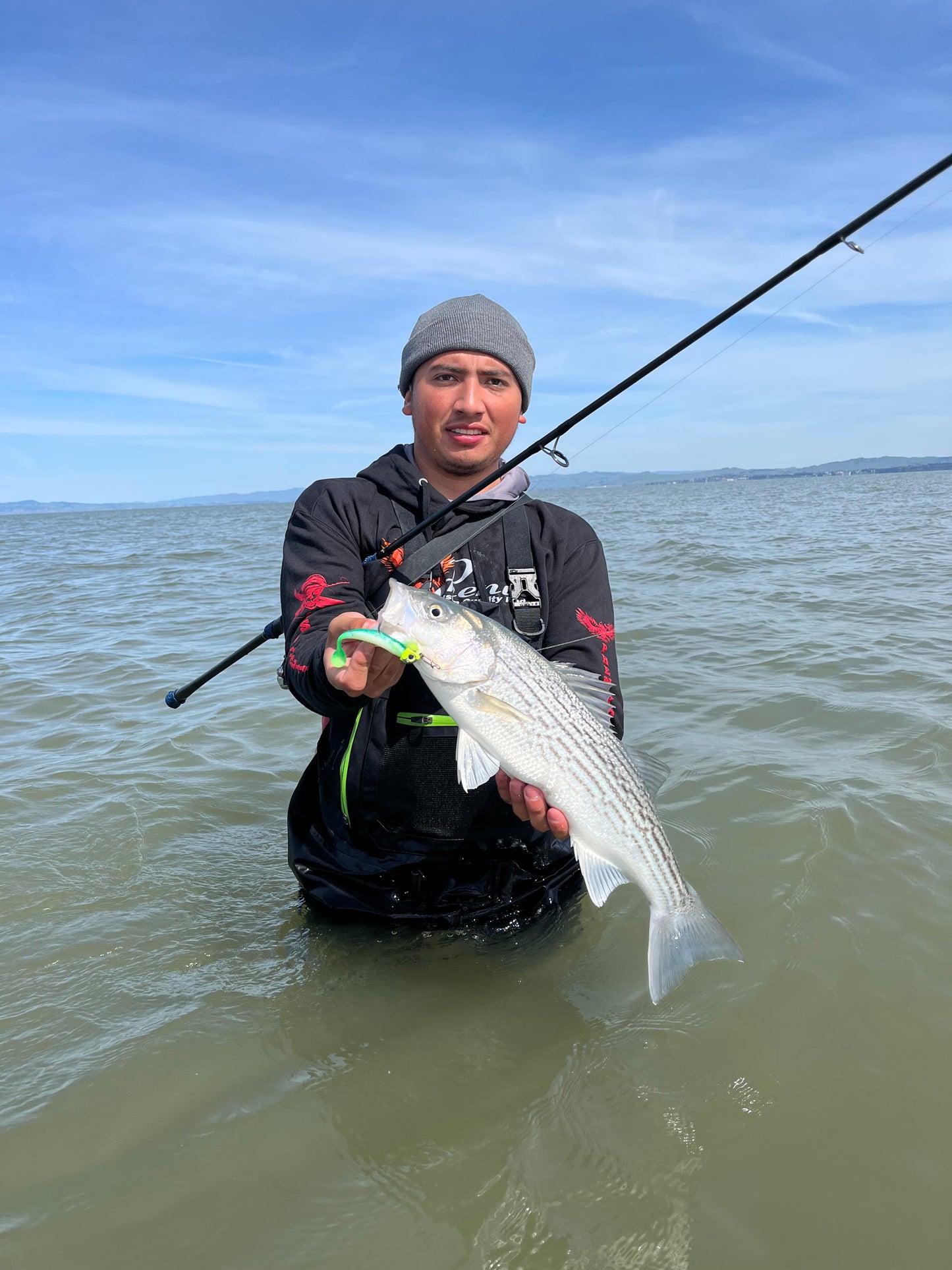 MEKENI'S SEXYSMELT Swimbait Various Sizes Please specify size when ordering