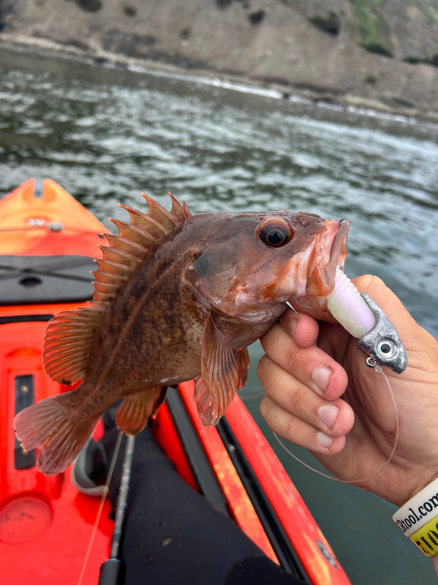 AAP FISHING Jigheads Please choose Size