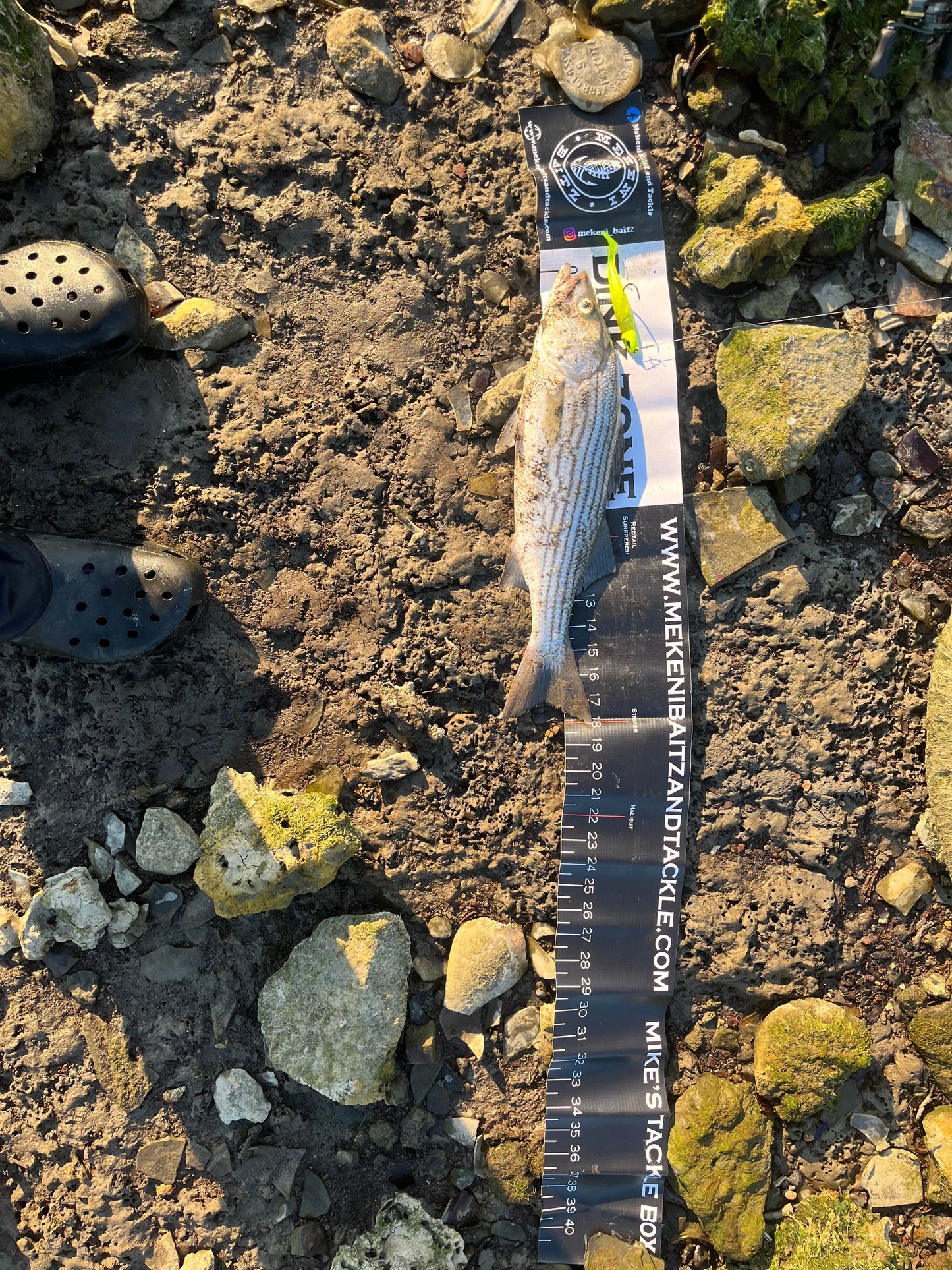 MEKENI BAITZ SLAB TAPE 40” $19.99
