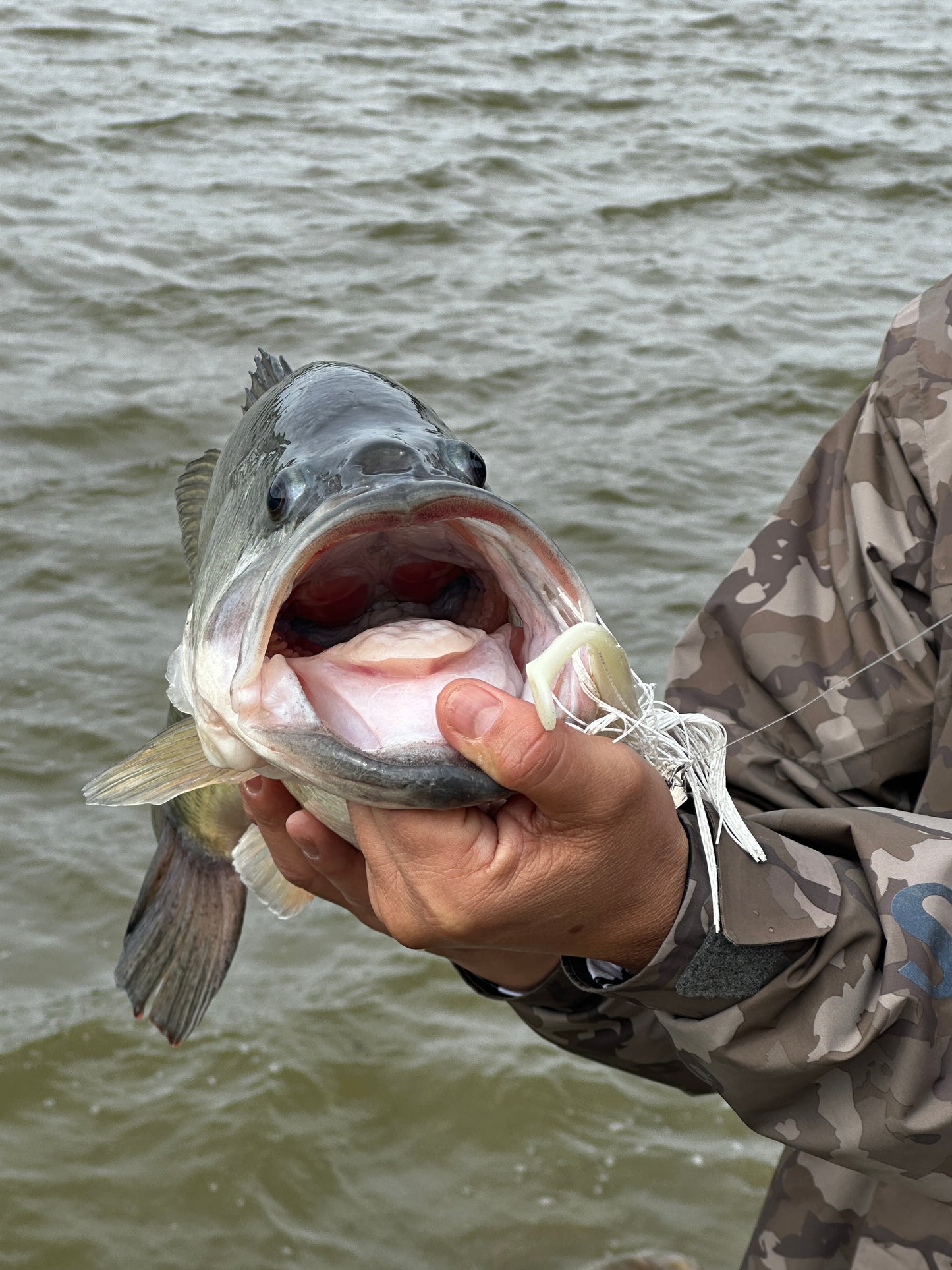 MEKENI'S JROC415-SP Swimbait Bone Glow Various Styles and Sizes Please choose!