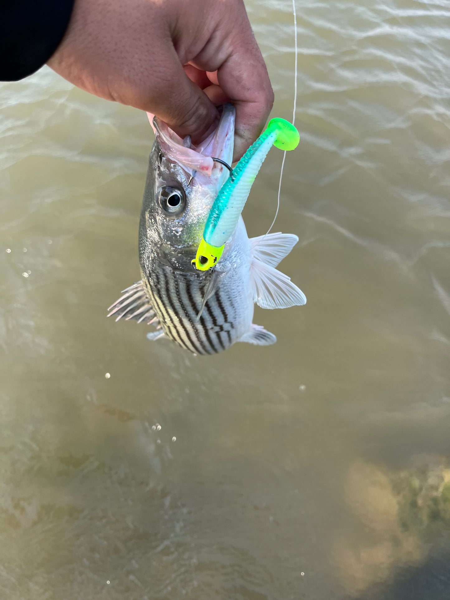 MEKENI'S SEXYSMELT Swimbait Various Sizes Please specify size when ordering