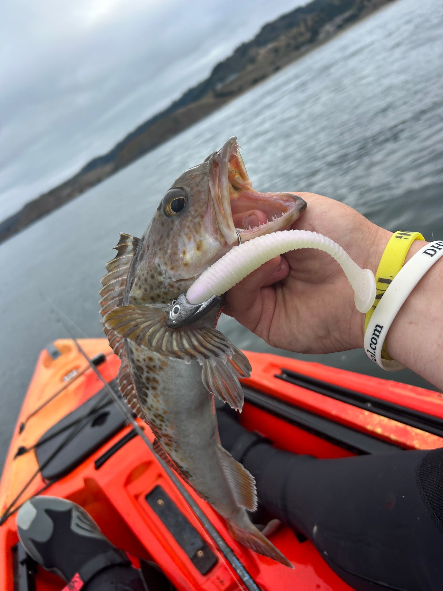 AAP FISHING Jigheads Please choose Size