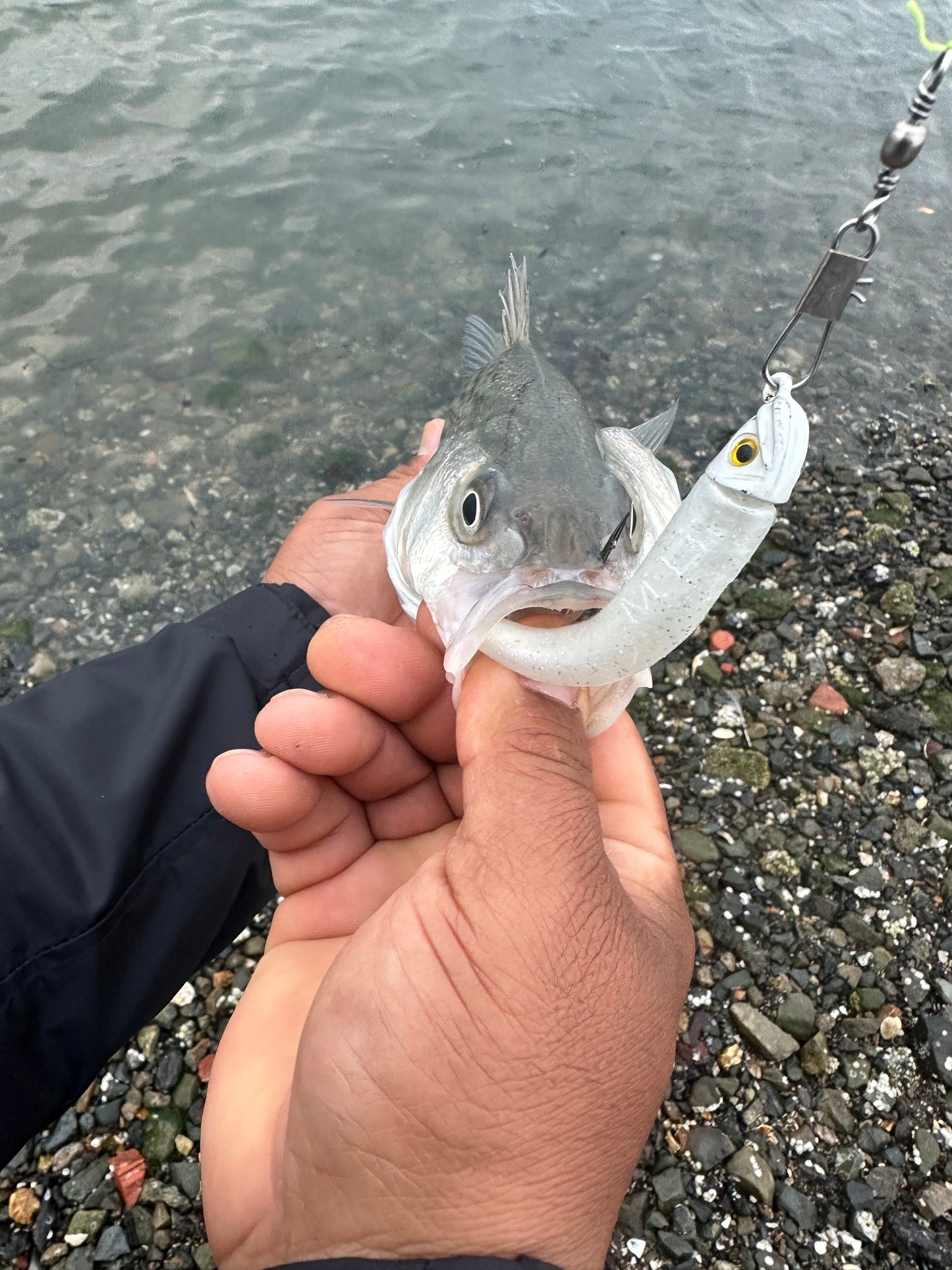 MEKENI'S PEARLZ GLOW Swimbait Various styles and sizes. Please specify when ordering