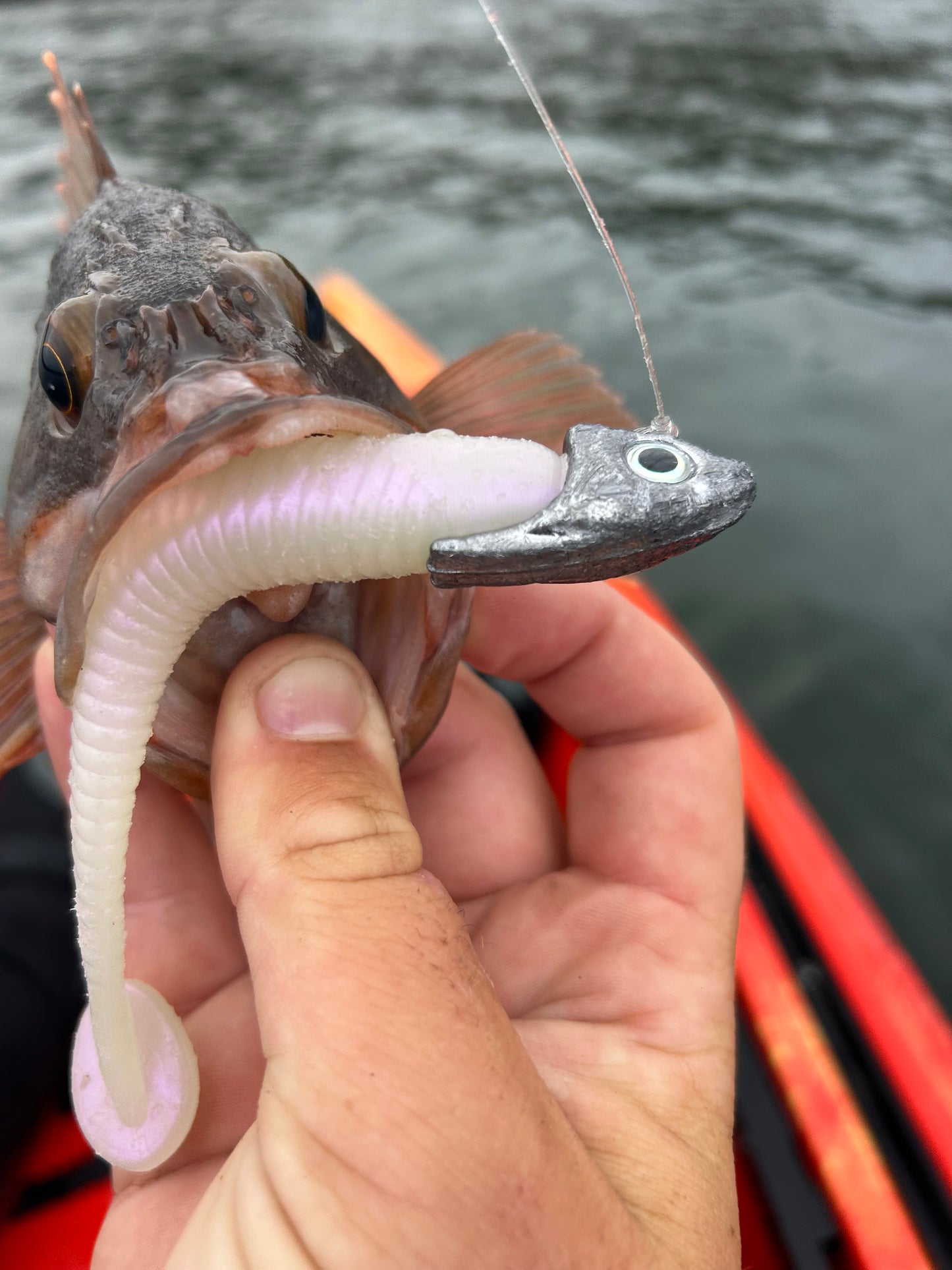 AAP FISHING Jigheads Please choose Size