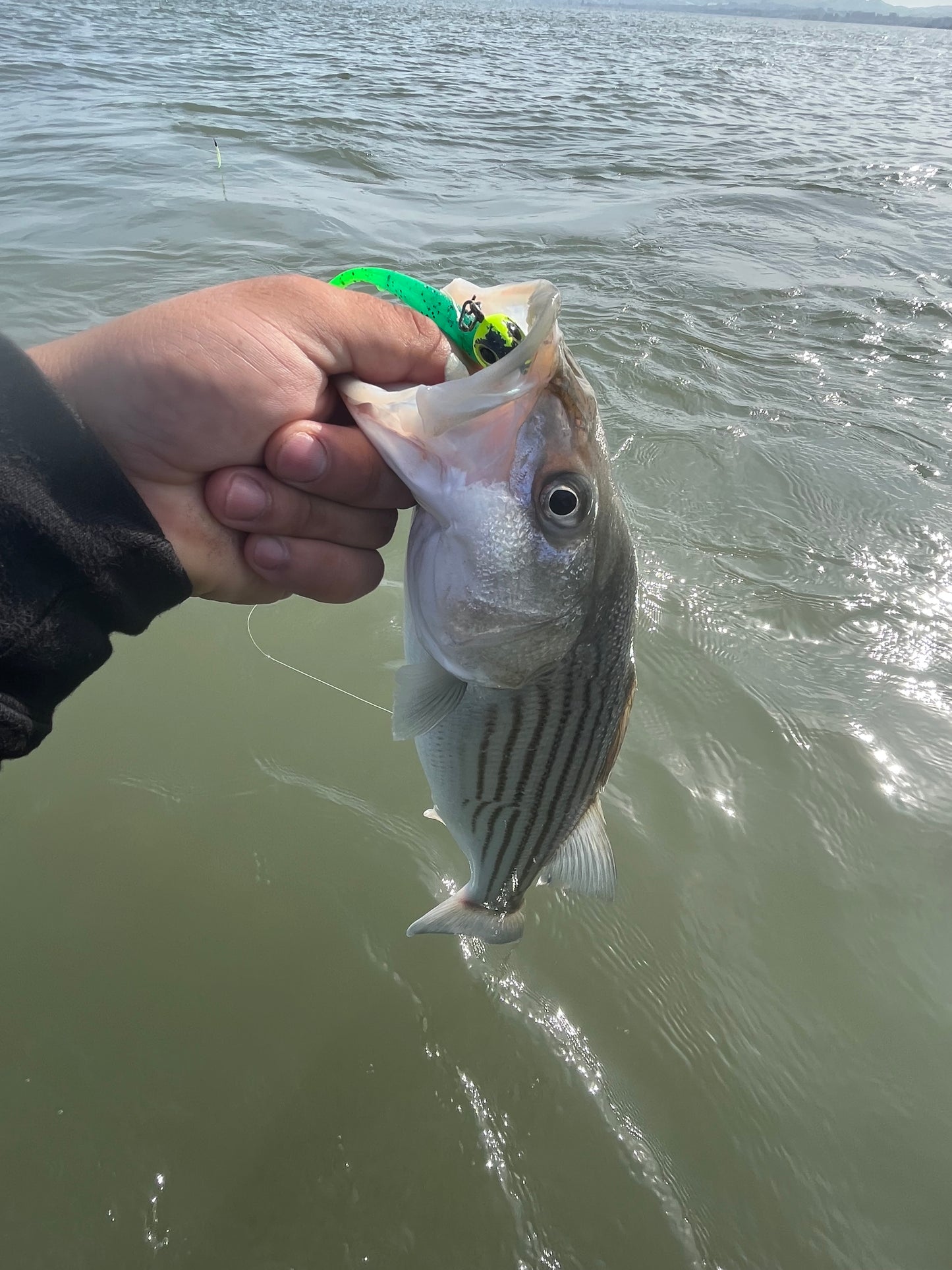 MEKENI'S SEXYSMELT Swimbait Various Sizes Please specify size when ordering