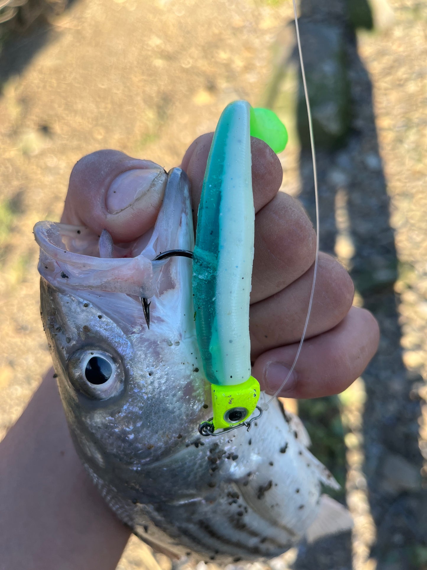 MEKENI'S SEXYSMELT Swimbait Various Sizes Please specify size when ordering