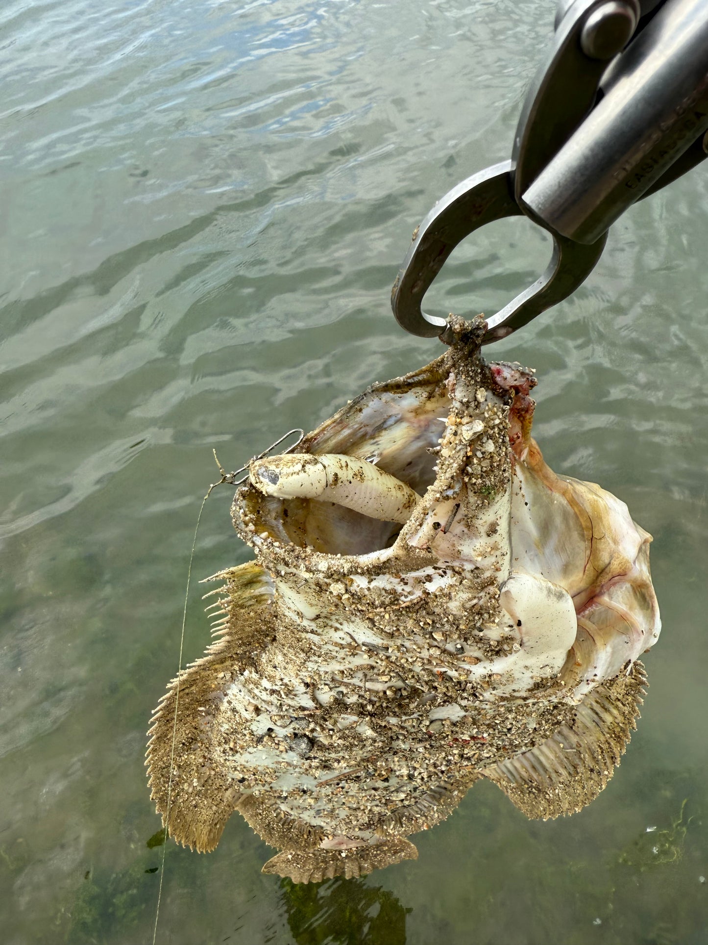 MEKENI'S JROC415-SP Swimbait Bone Glow Various Styles and Sizes Please choose!
