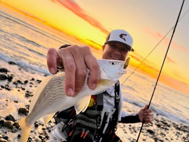 MEKENI'S WATERMELON 2" PADDLE TAIL 15ct Pack