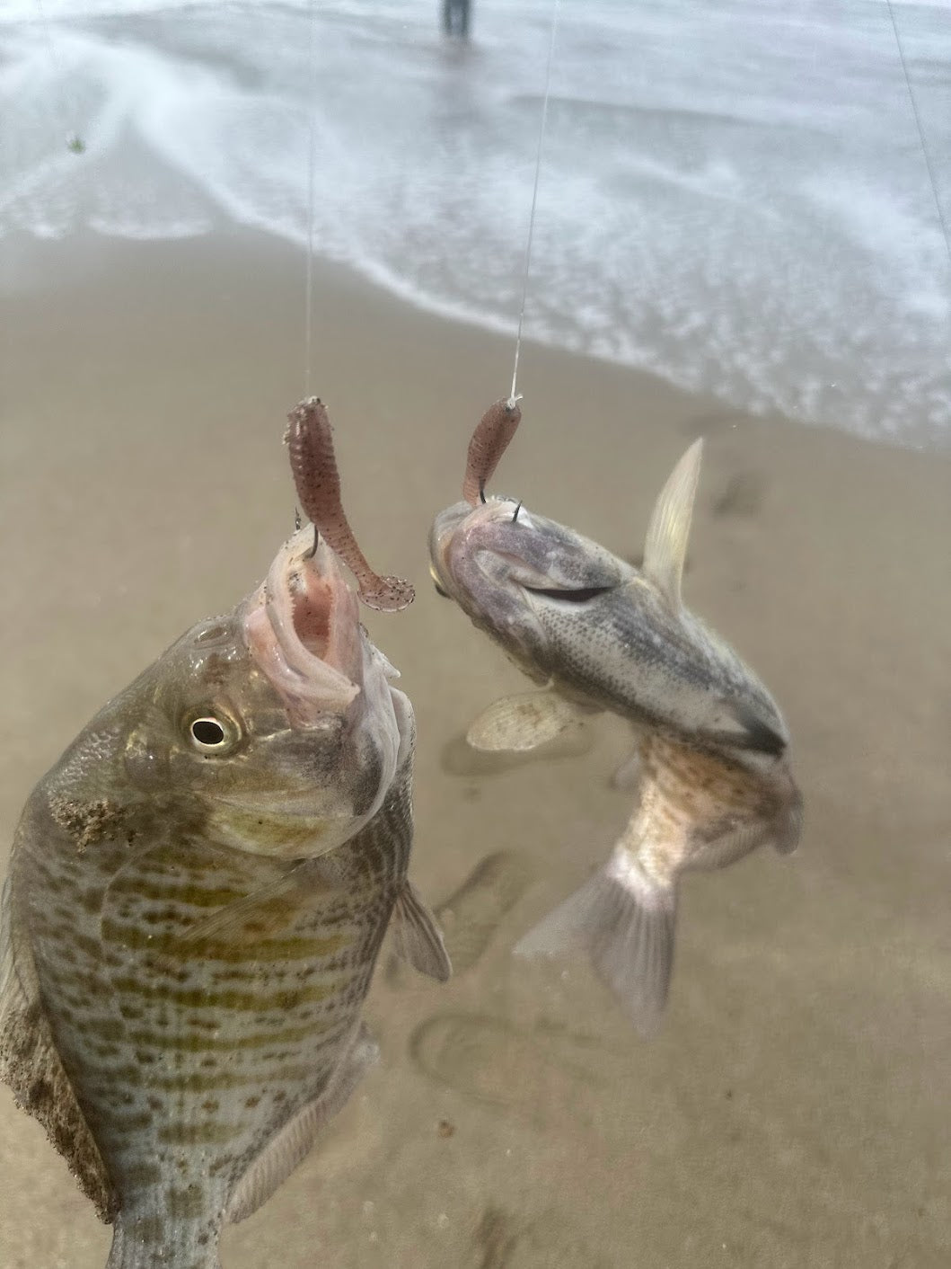 MEKENI'S PARO 2" Paddle Tail 15CT Pack
