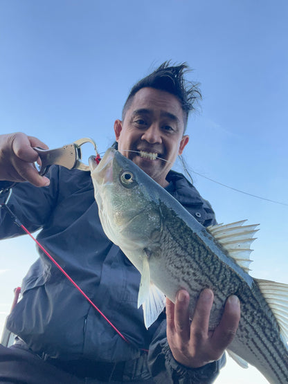 MEKENI'S PRO SERIES SWIMBAITS