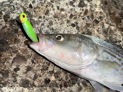 MEKENI'S MONEY ORDER SWIMBAIT