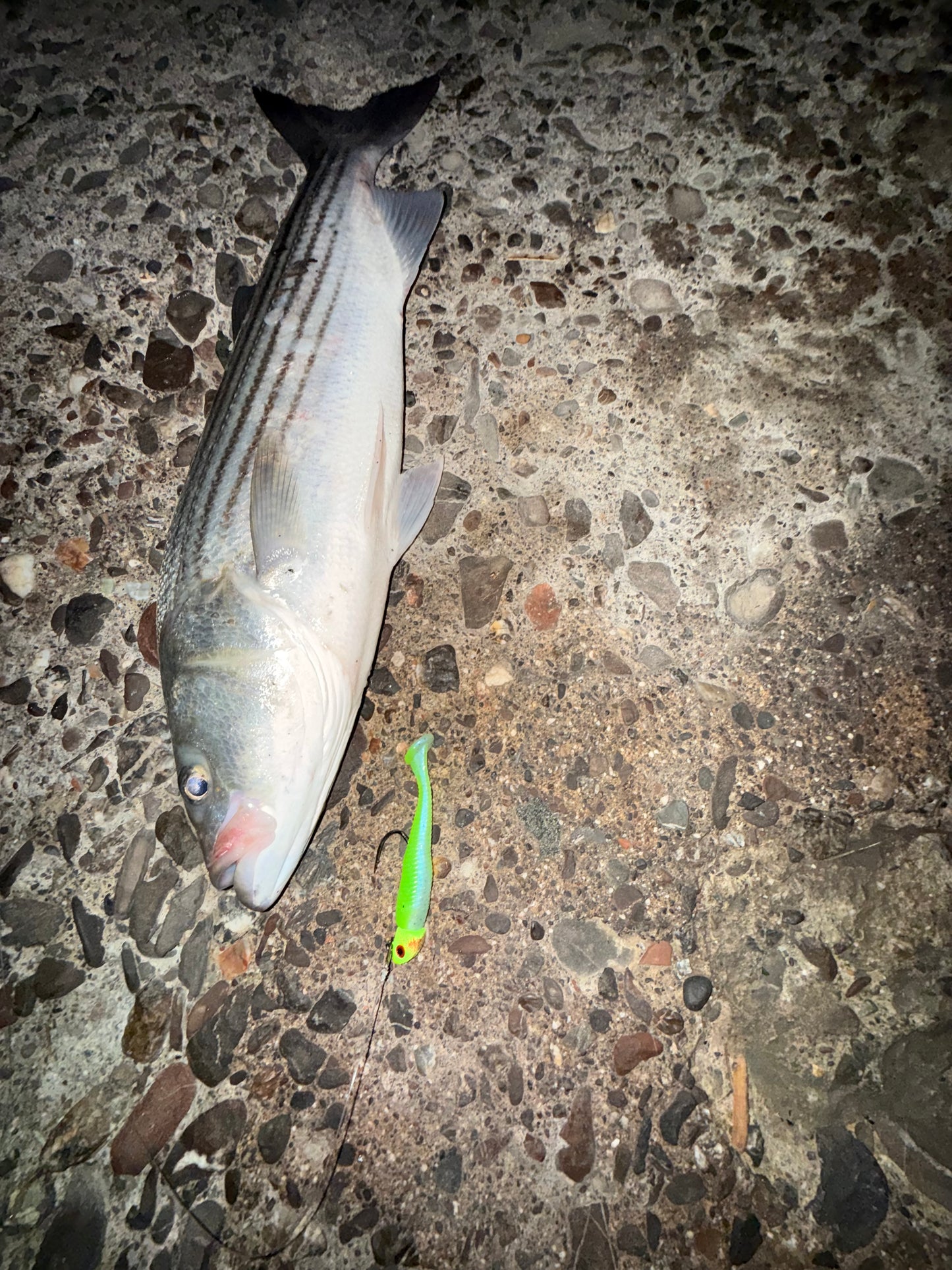 MEKENI'S MONEY ORDER SWIMBAIT