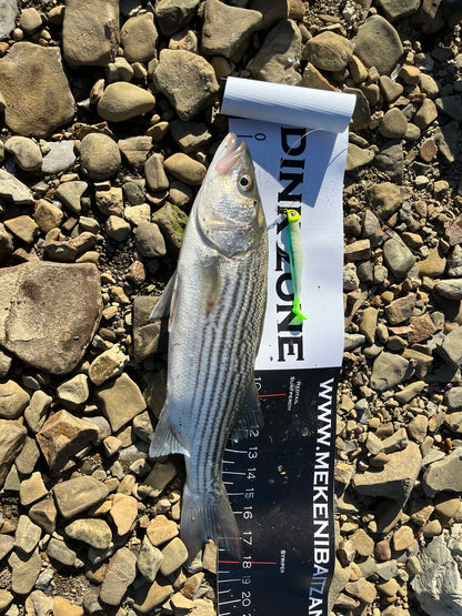 MEKENI'S SEXYSMELT Swimbait Various Sizes  Please specify size when ordering