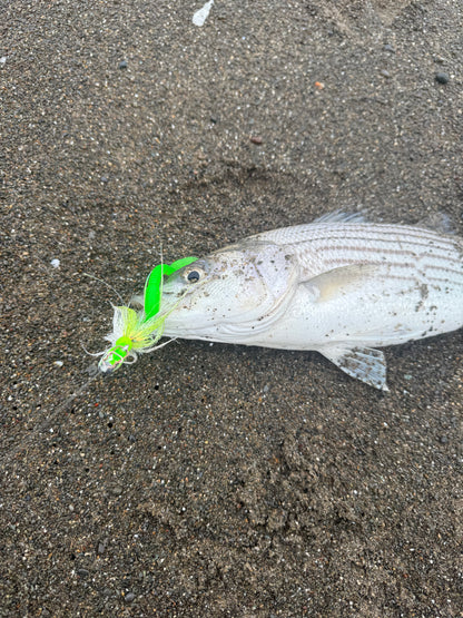 MEKENI'S STRIPER HALI WORM TAILS 10CT $5.99 Please Choose Options