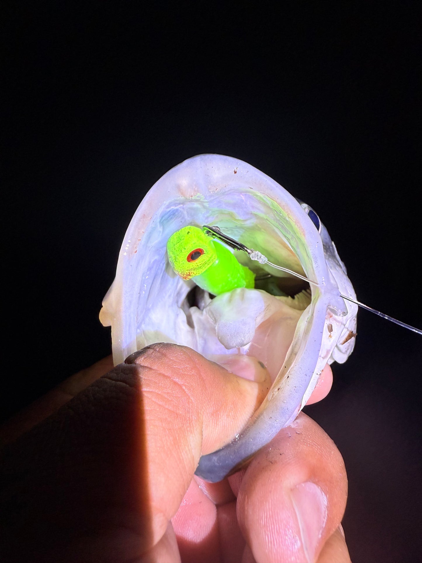 MEKENI'S MONEY ORDER SWIMBAIT