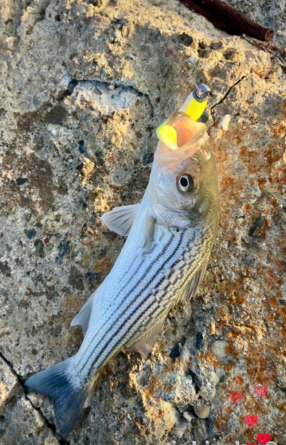 MEKENI'S NOW OR LATER Swimbait 2.0 Various Styles and Sizes Please choose!