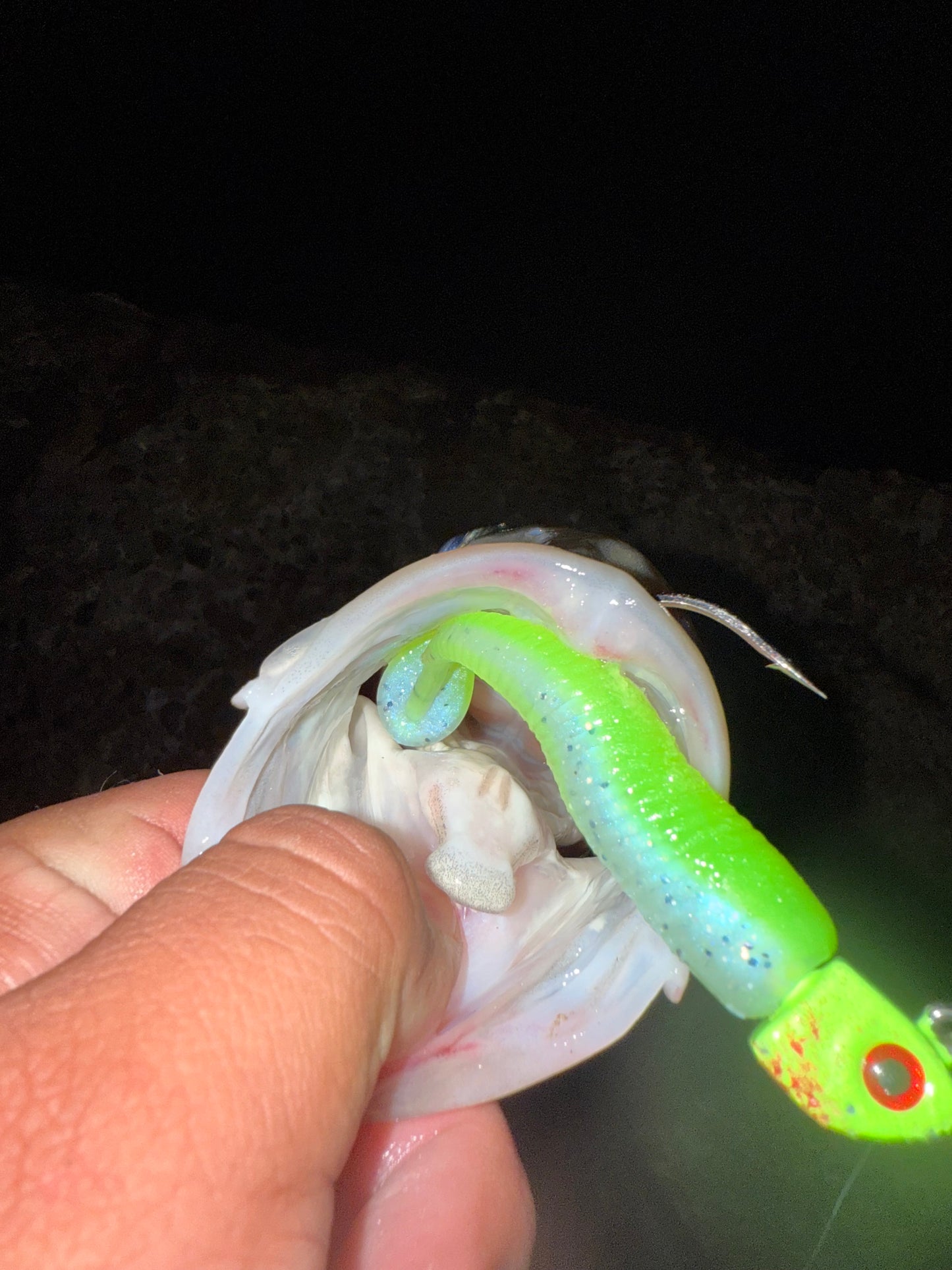 MEKENI'S MONEY ORDER SWIMBAIT